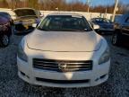 NISSAN MAXIMA S photo