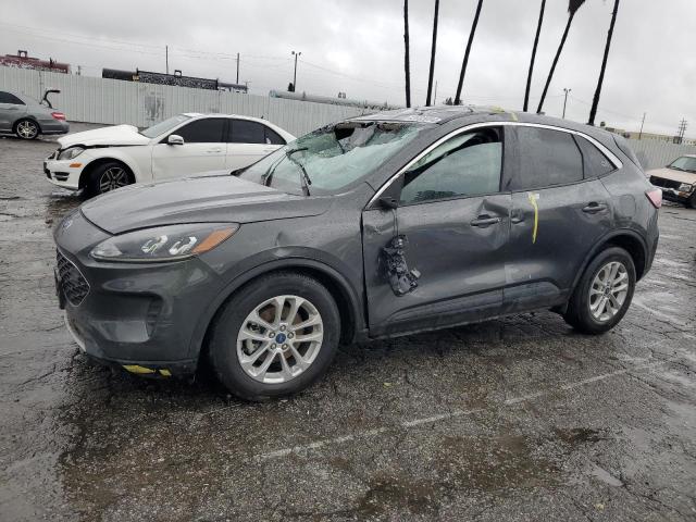 Lot #2412009179 2020 FORD ESCAPE SE salvage car