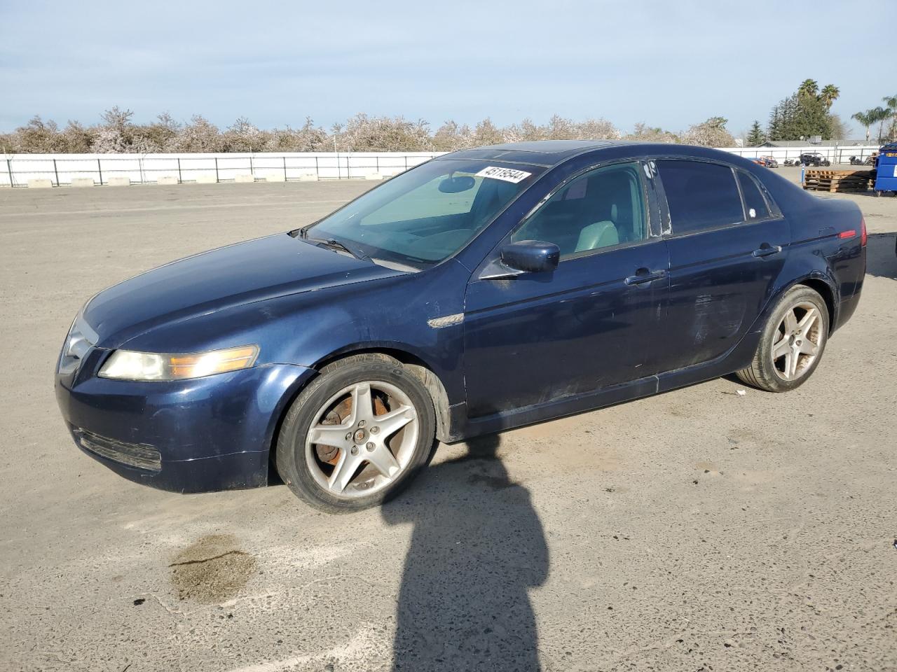 19UUA66256A060810 2006 Acura 3.2Tl