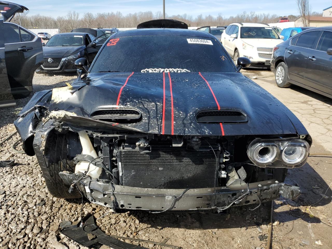 Lot #2446156430 2021 DODGE CHALLENGER