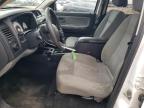 Lot #2404163179 2011 DODGE DAKOTA SLT