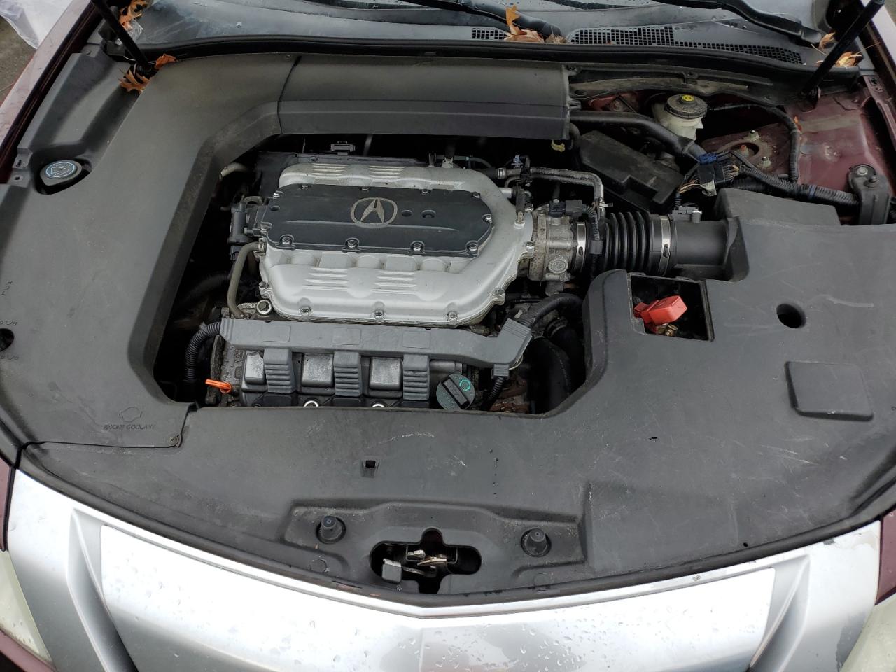 19UUA8F21BA004191 2011 Acura Tl