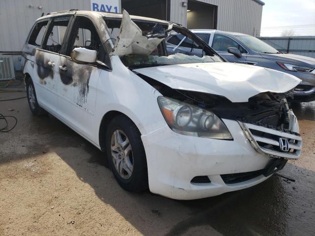 2006 Honda Odyssey Exl VIN: 5FNRL38666B448231 Lot: 44768744