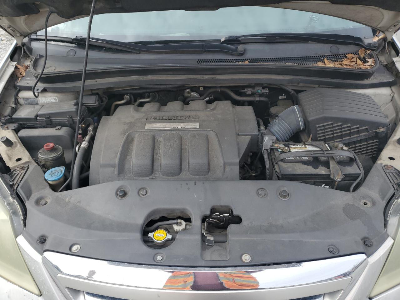 5FNRL38715B084453 2005 Honda Odyssey Exl