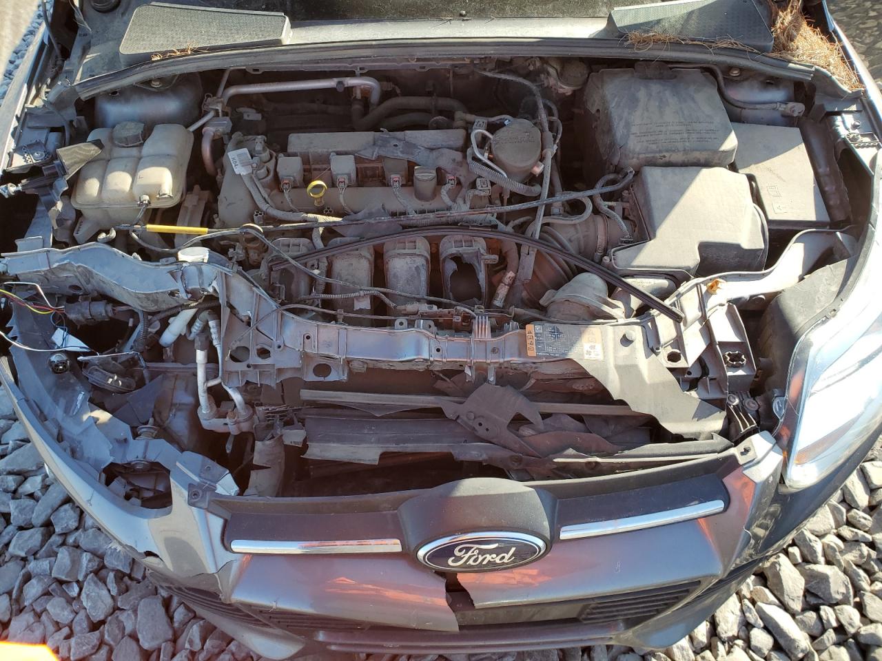 1FADP3F29EL415692 2014 Ford Focus Se