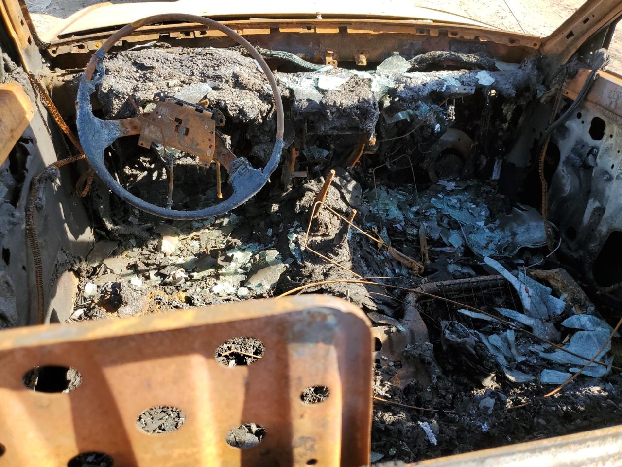 4TARN01P5PZ152684 1993 Toyota Pickup 1/2 Ton Short Wheelbase Dx