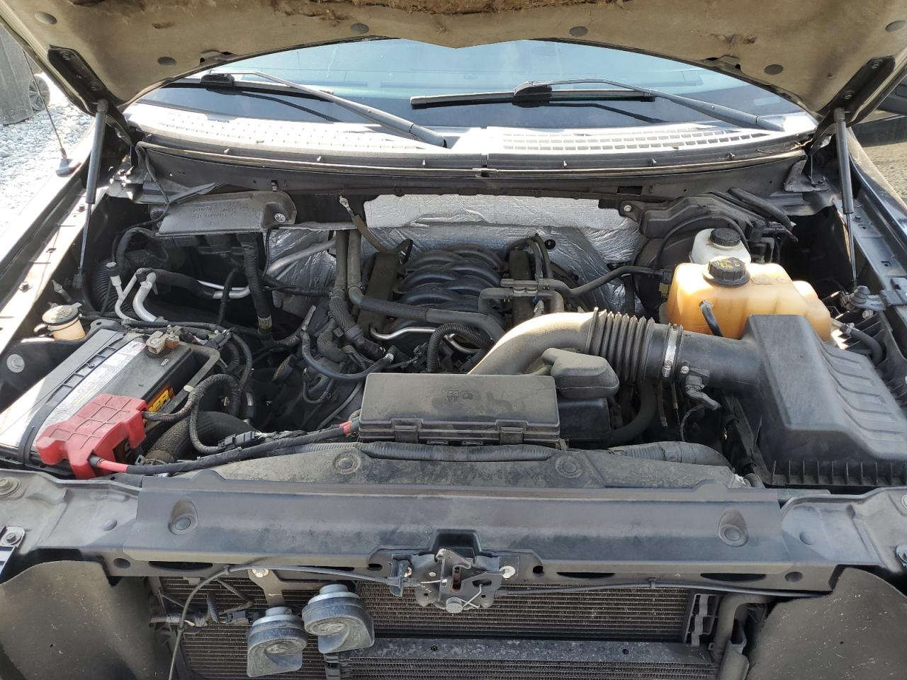 1FTFW1EF3BFD01356 2011 Ford F150 Supercrew