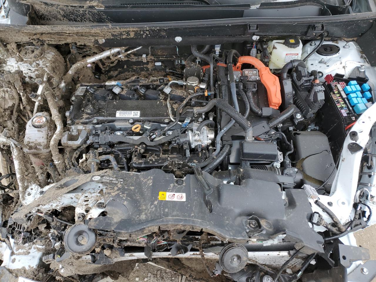 4T3RWRFVXRU131118 2024 Toyota Rav4 Xle