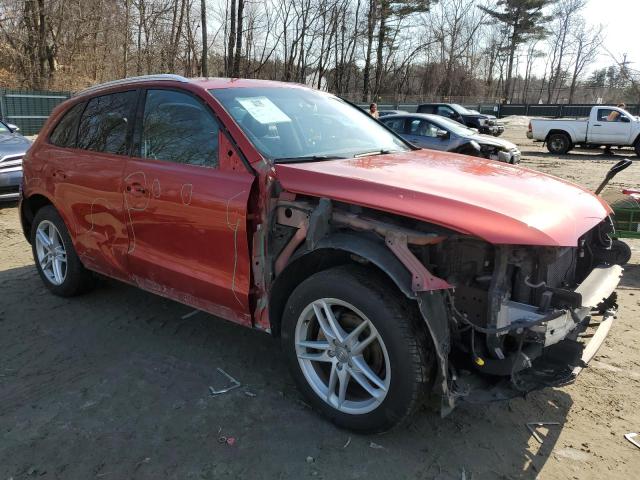 Lot #2438747634 2013 AUDI Q5 PREMIUM salvage car