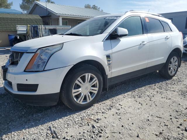 Lot #2428359472 2012 CADILLAC SRX LUXURY salvage car