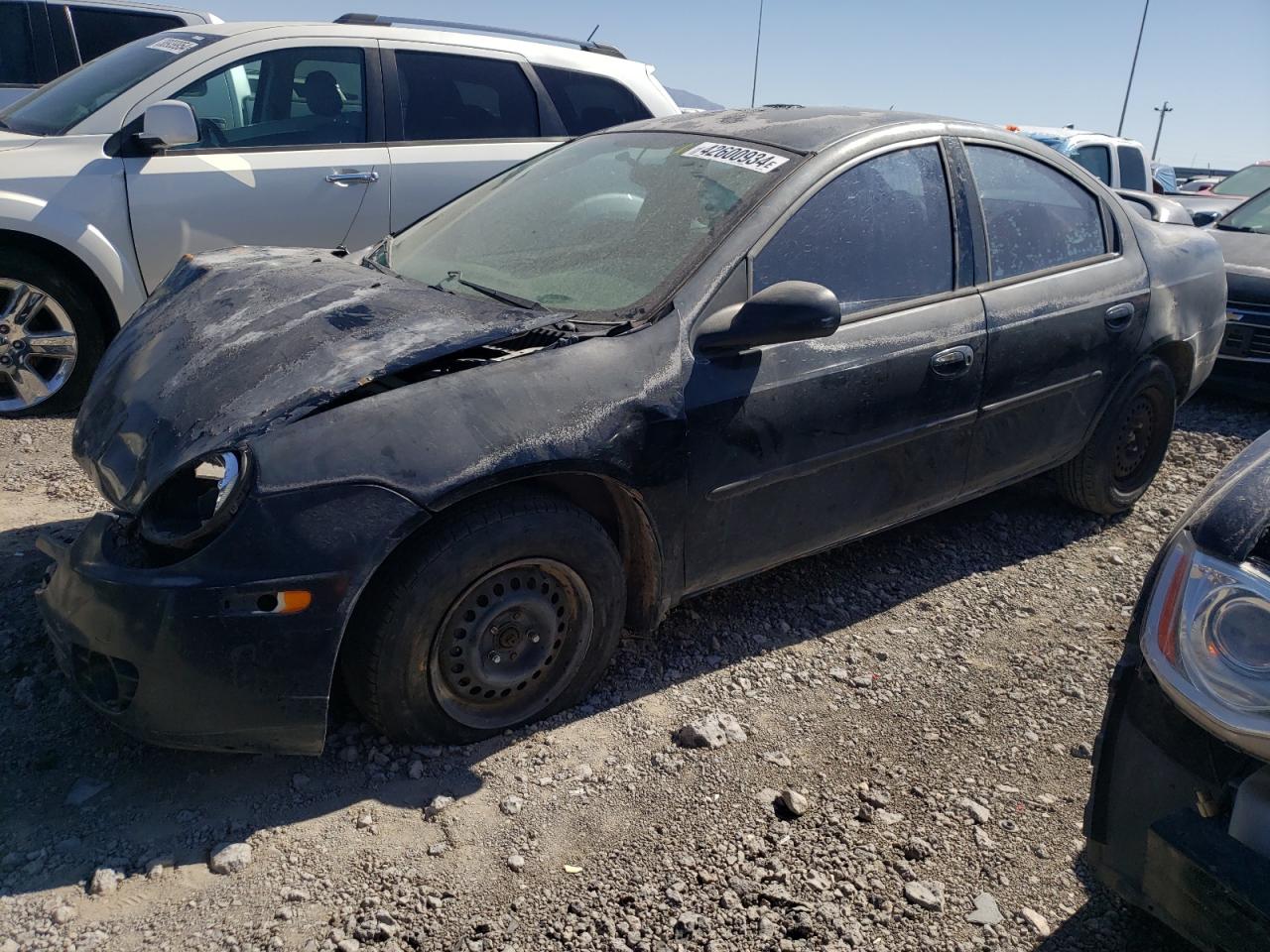 1B3ES56C33D214946 2003 Dodge Neon Sxt