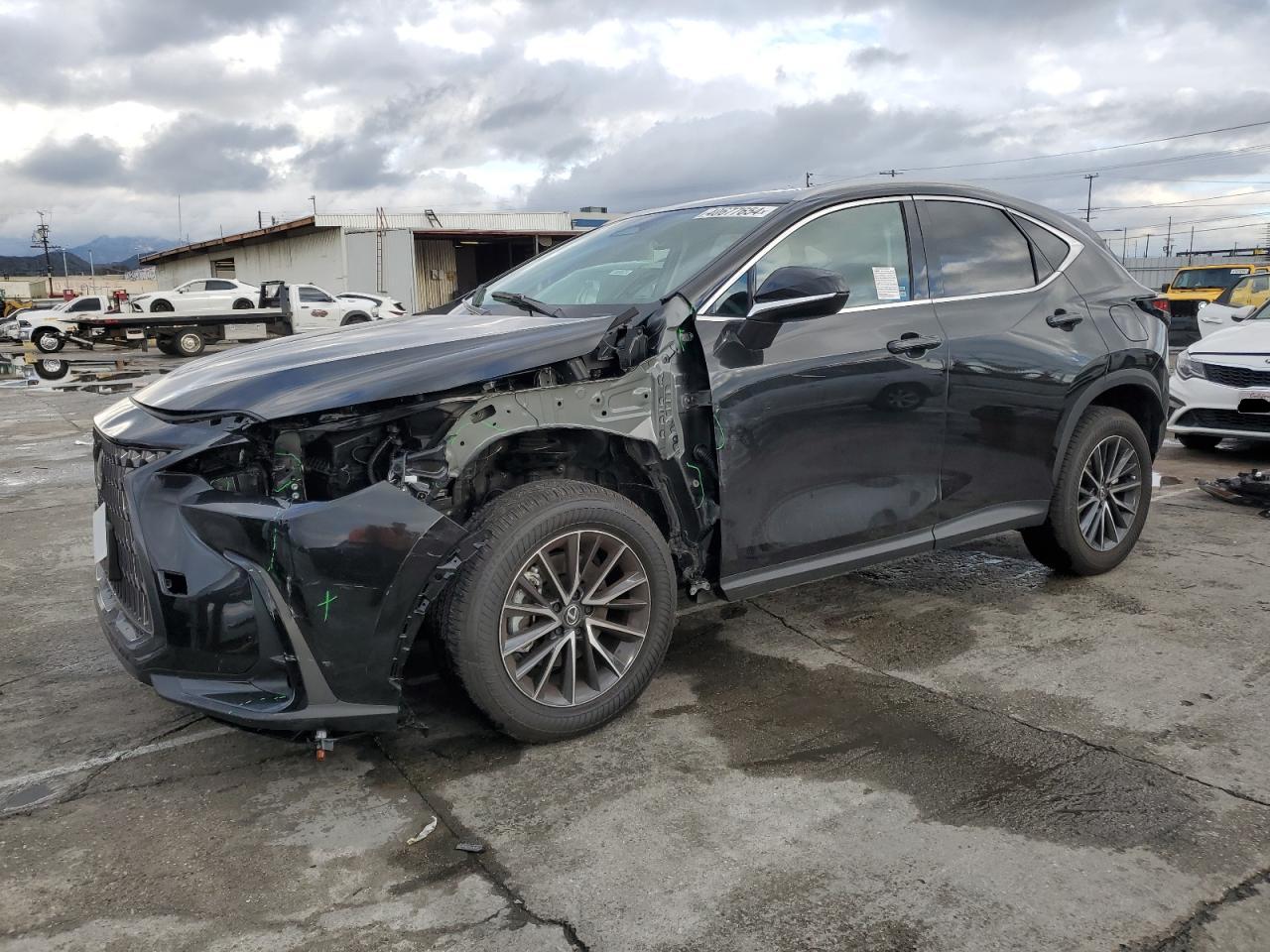 2T2ADCAZ8RC012886 LEXUS NX 250 BAS 2024