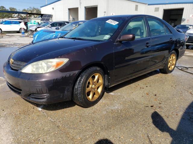 Lot #2469008799 2004 TOYOTA CAMRY LE salvage car