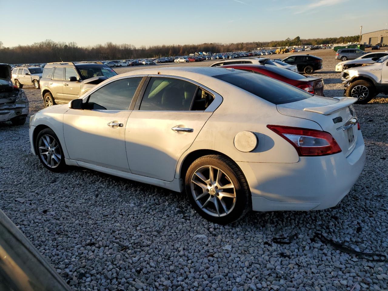 Lot #2524292048 2011 NISSAN MAXIMA S