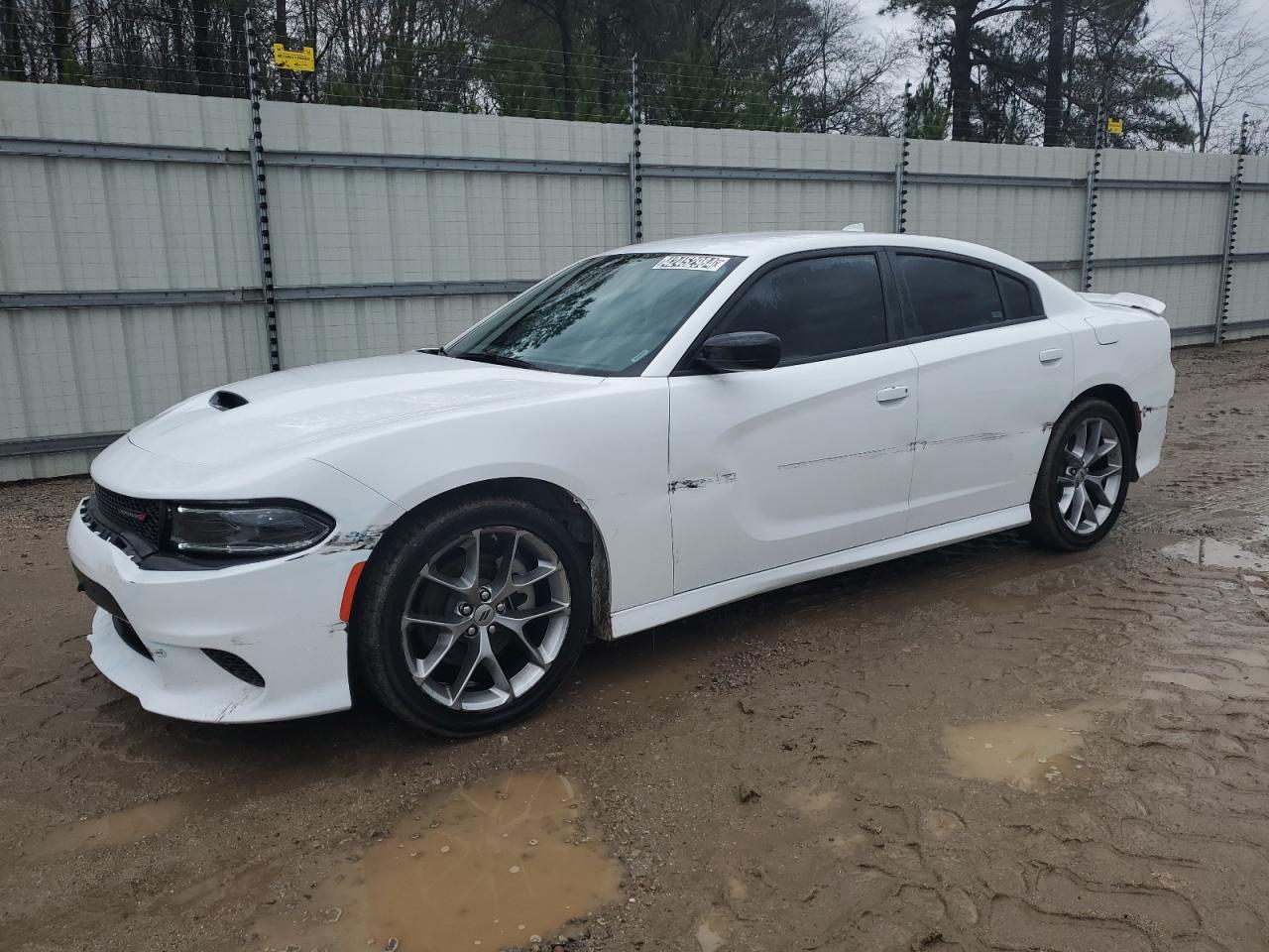 Lot #2339973310 2023 DODGE CHARGER GT