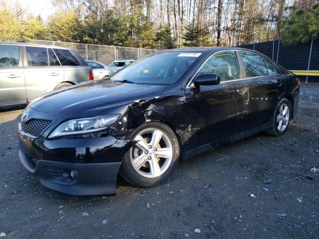 Lot #2477822036 2011 TOYOTA CAMRY BASE salvage car
