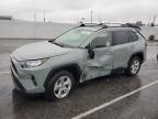2019 TOYOTA RAV4 XLE - JTMP1RFV7KD026366