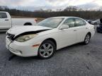 LEXUS ES 330