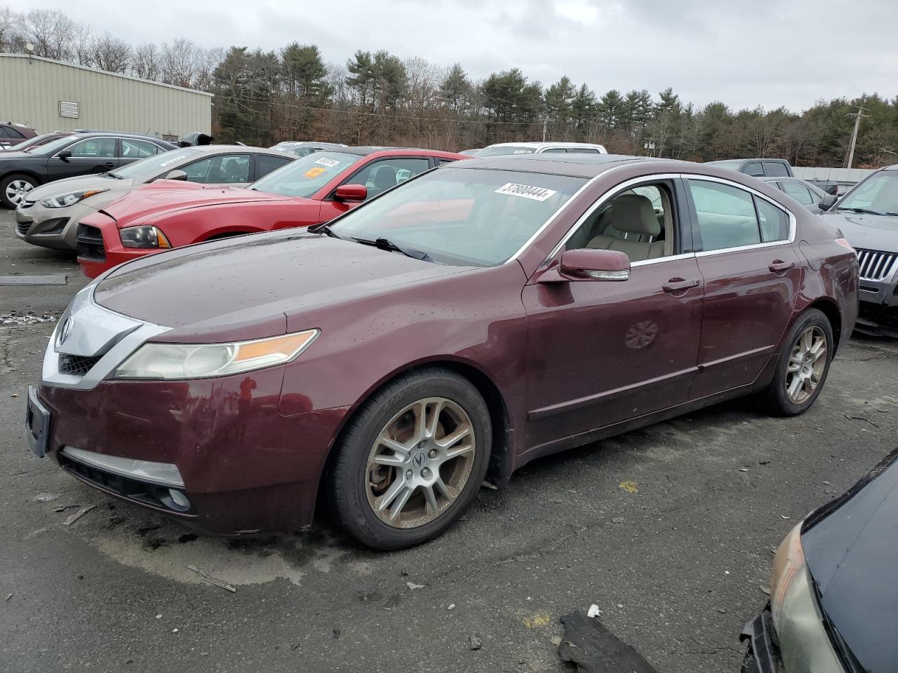 19UUA8F21BA004191 2011 Acura Tl