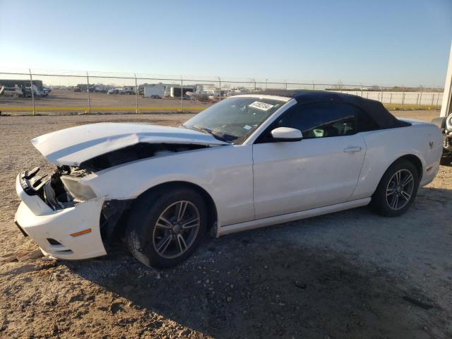 Lot #2441140398 2013 FORD MUSTANG salvage car