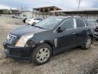 CADILLAC SRX LUXURY photo