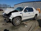 Lot #2994198267 2007 CADILLAC ESCALADE E