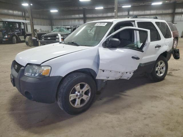 Lot #2356764968 2007 FORD ESCAPE XLT salvage car