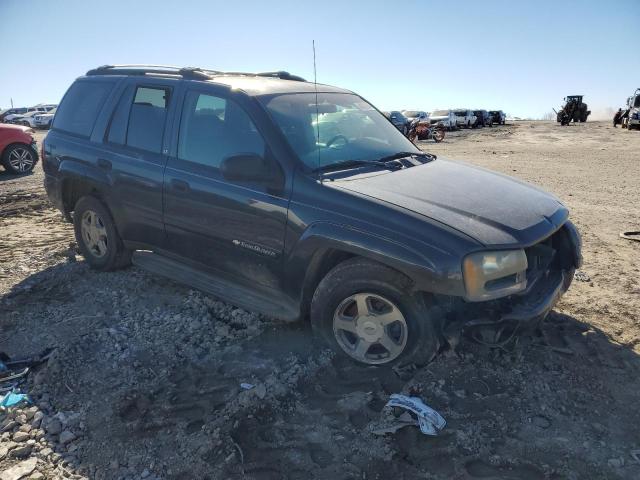 2003 Chevrolet Trailblazer VIN: 1GNDT13S432246898 Lot: 40432004