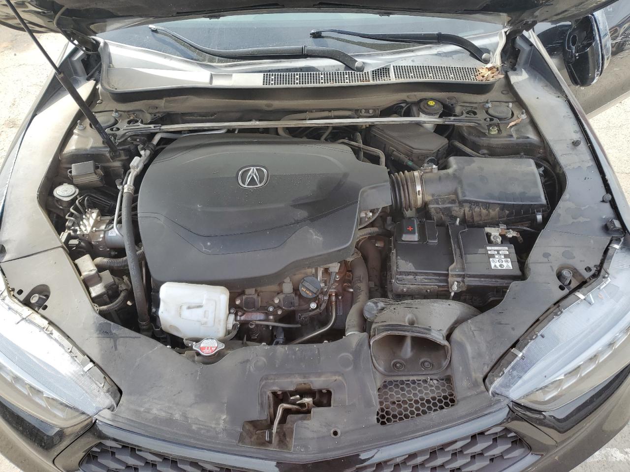 19UUB2F60KA006155 2019 Acura Tlx Technology