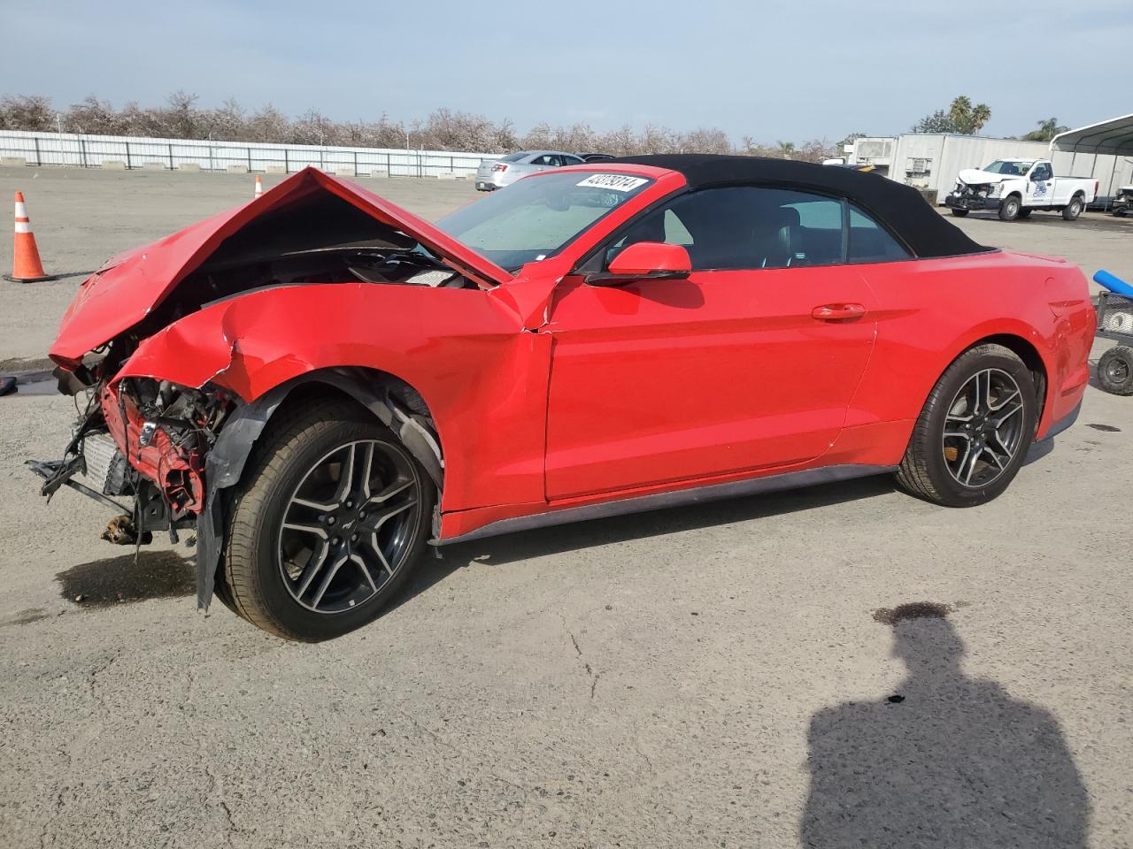 2019 Ford Mustang vin: 1FATP8UH7K5148665