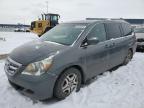 HONDA ODYSSEY EX снимка