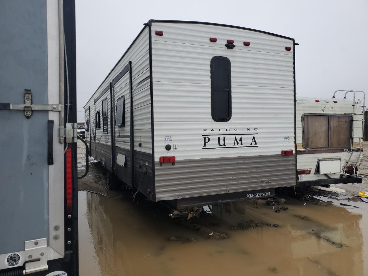 Lot #2974831149 2021 PALO PUMA