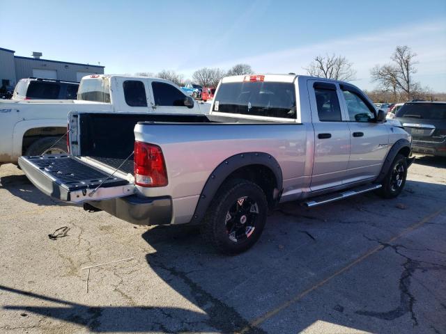 2010 Dodge Ram 1500 VIN: 1D7RV1GT1AS205207 Lot: 42524744