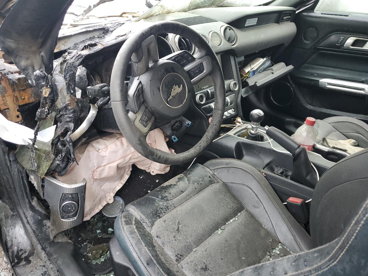 1FA6P8TH2F5325126 2015 Ford Mustang