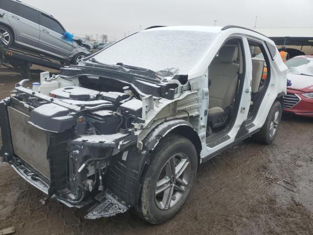 2017 HYUNDAI SANTA FE S 5NMZUDLB7HH023819