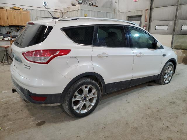 2014 Ford Escape Titanium VIN: 1FMCU0JX7EUA70202 Lot: 41656564