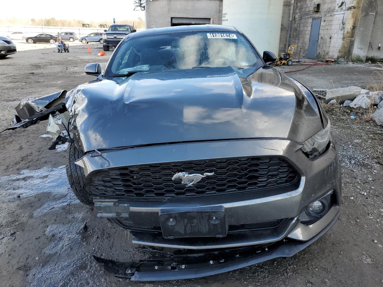 1FA6P8AM5G5289403 2016 Ford Mustang