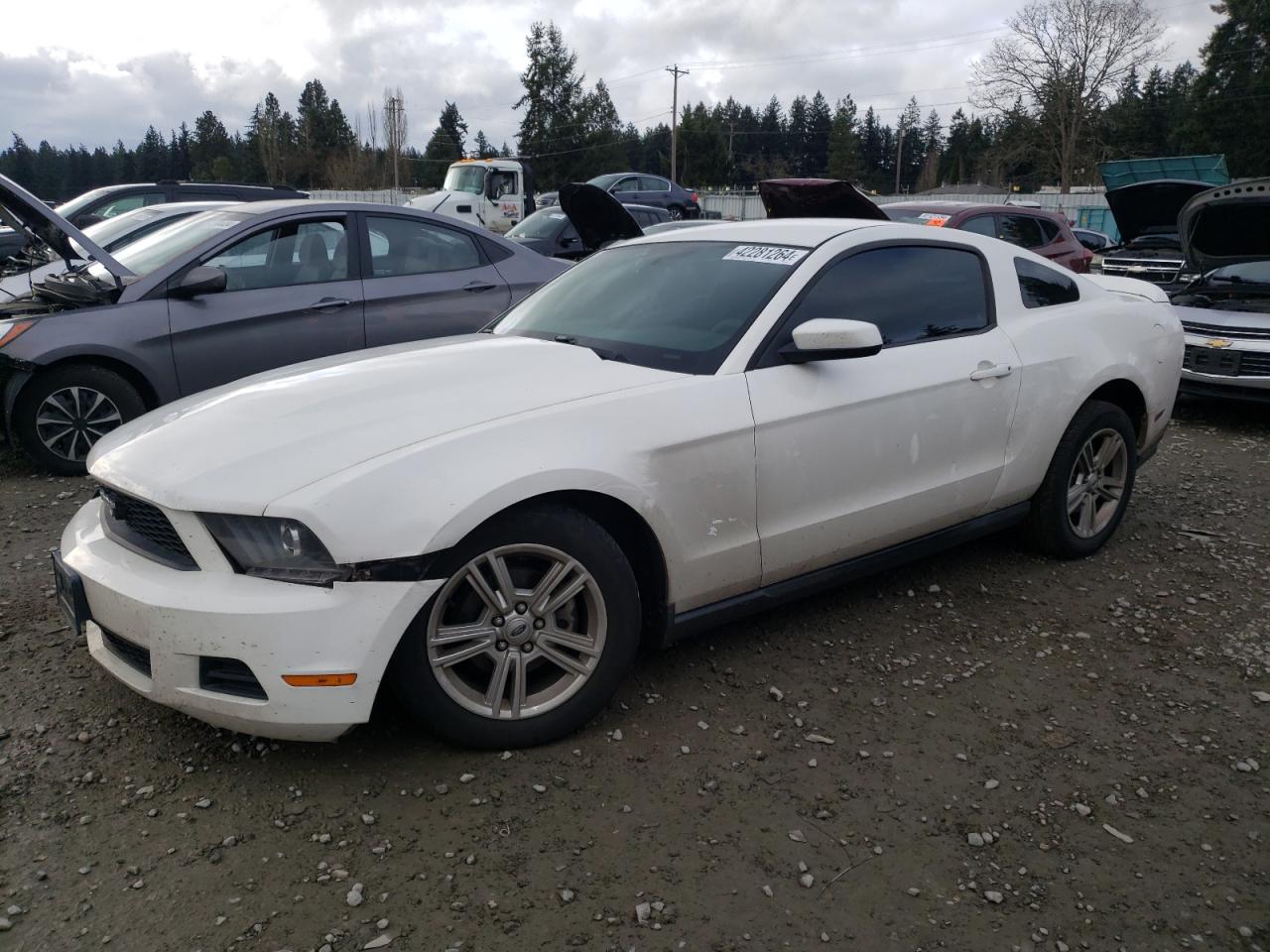 1ZVBP8AN5A5146862 2010 Ford Mustang