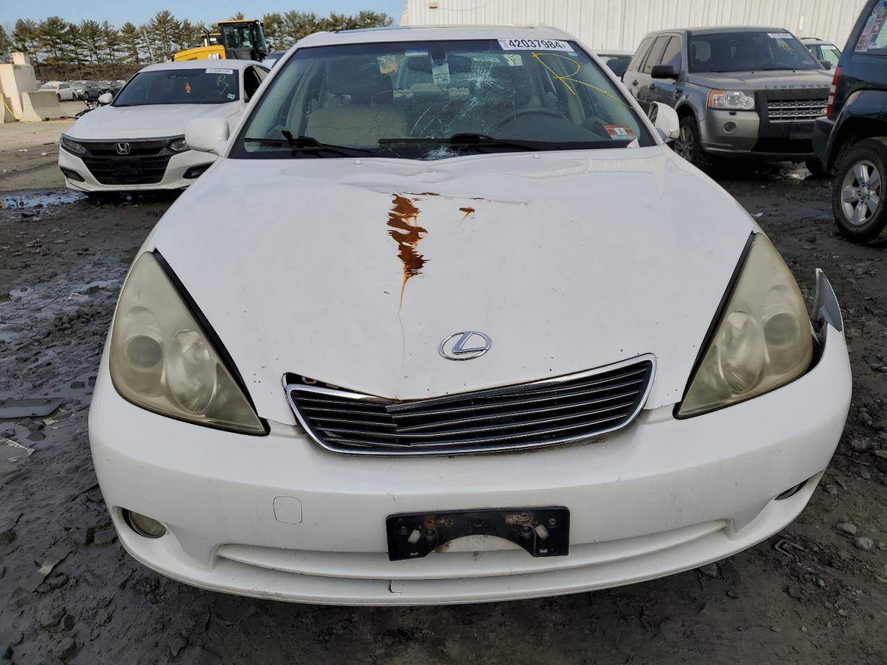 JTHBA30G065163746 2006 Lexus Es 330