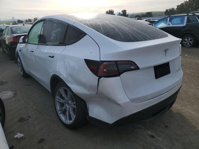 2023 TESLA MODEL Y 7SAYGDEE7PF676681