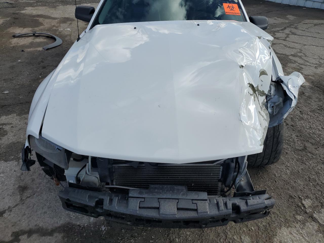 1ZVFT82H675204654 2007 Ford Mustang Gt