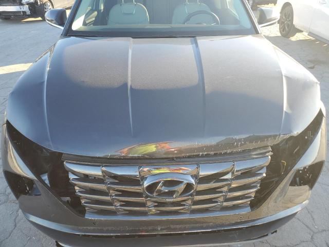 2023 HYUNDAI TUCSON LIM 5NMJECAE4PH169935