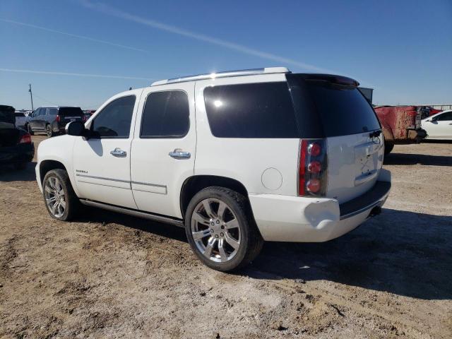 2009 GMC Yukon Denali VIN: 1GKFK03239R300761 Lot: 44228384