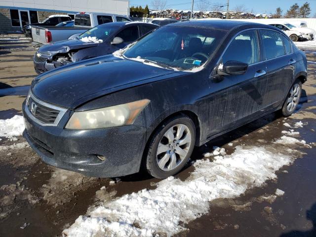 2008 Honda Accord Coupe EX