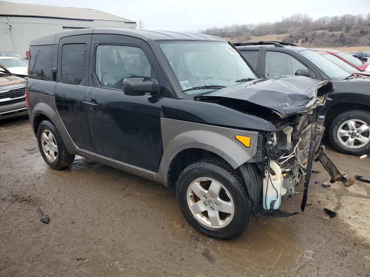 Lot #2986762279 2003 HONDA ELEMENT EX