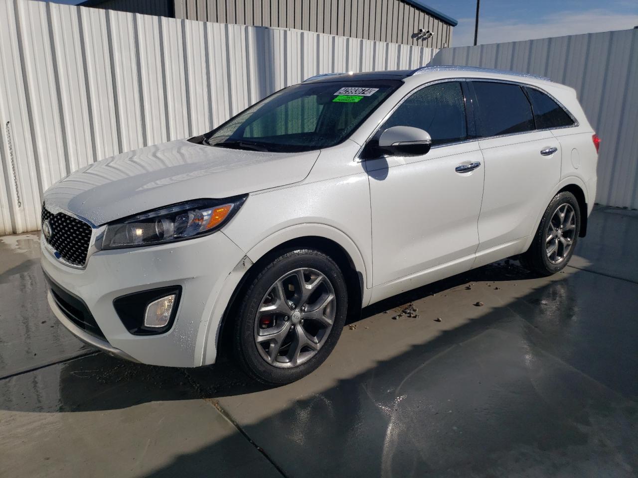 5XYPK4A53GG107445 2016 Kia Sorento Sx