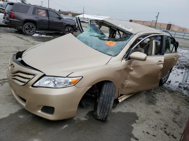 Lot #2455206441 2011 TOYOTA CAMRY BASE salvage car