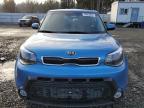 KIA SOUL + photo