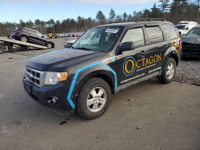 2011 Ford Escape Xlt VIN: 1FMCU9D75BKA02729 Lot: 42303554