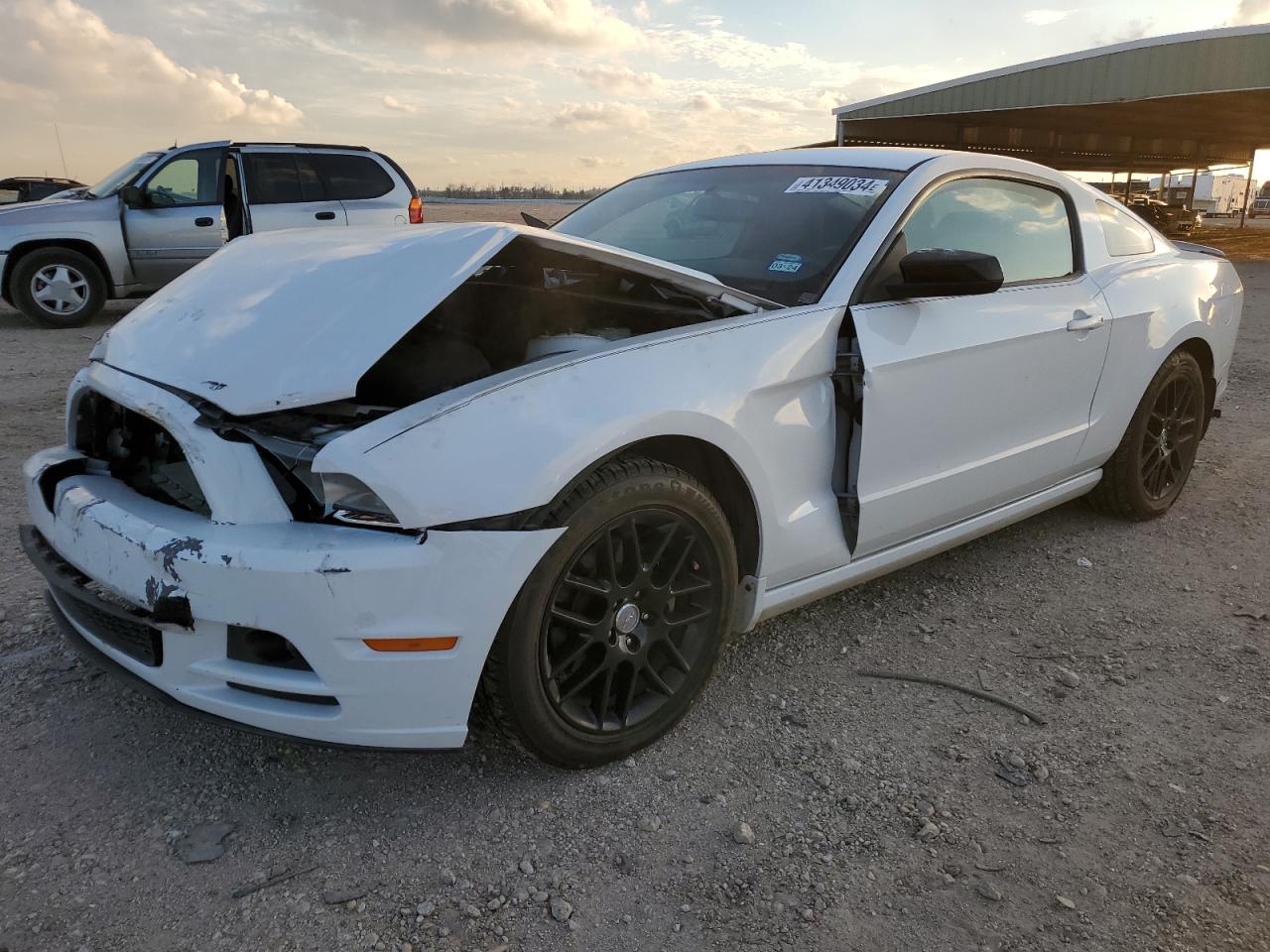 Lot #2446013001 2014 FORD MUSTANG